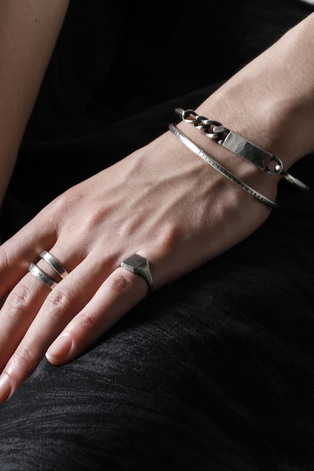 Cross Ring Bird Flight