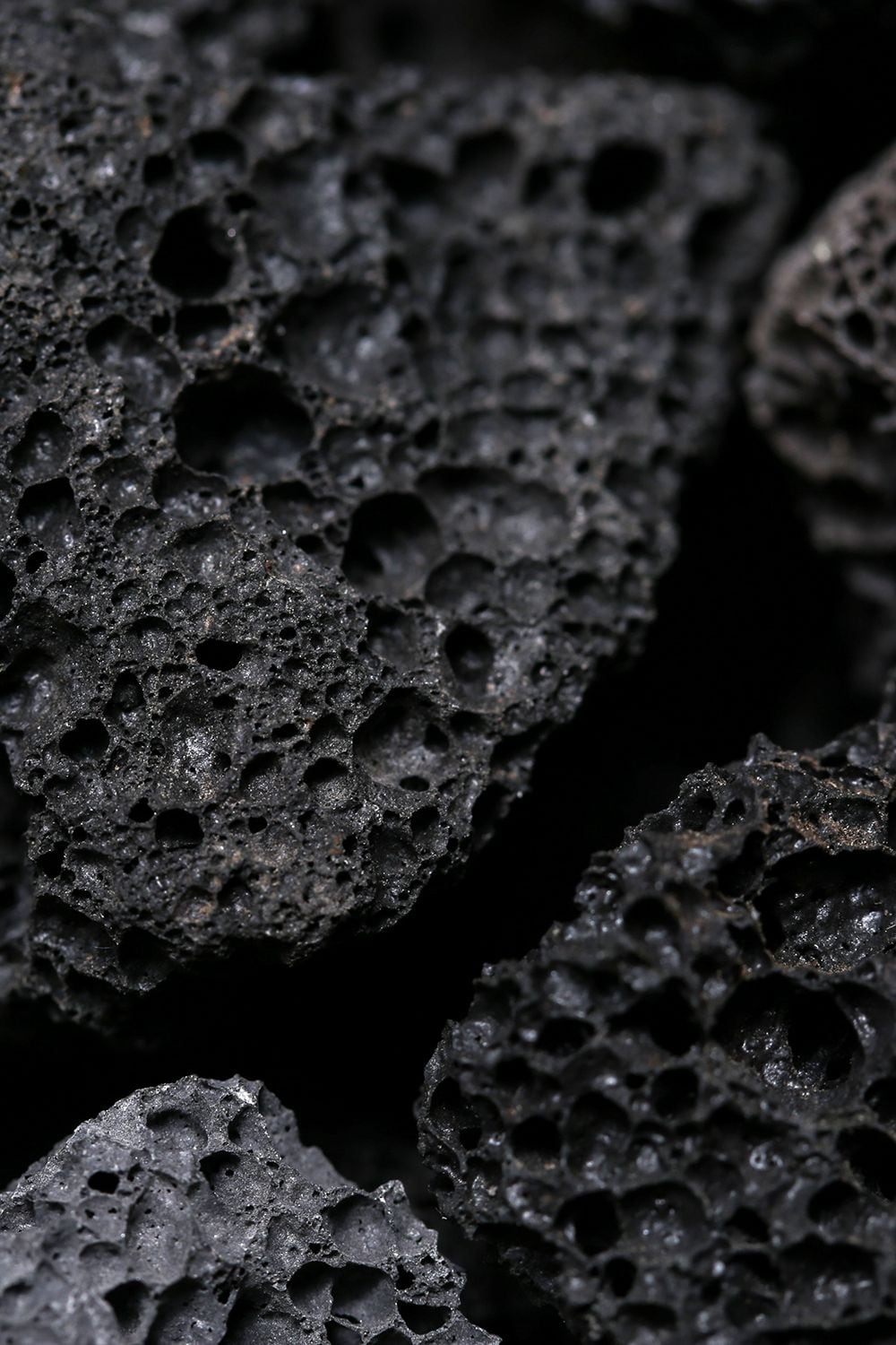 FIGUE NOIR - Petit size Pot Pourri Lava Rock