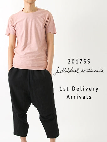 individual sentiments 17ss 1st delivery