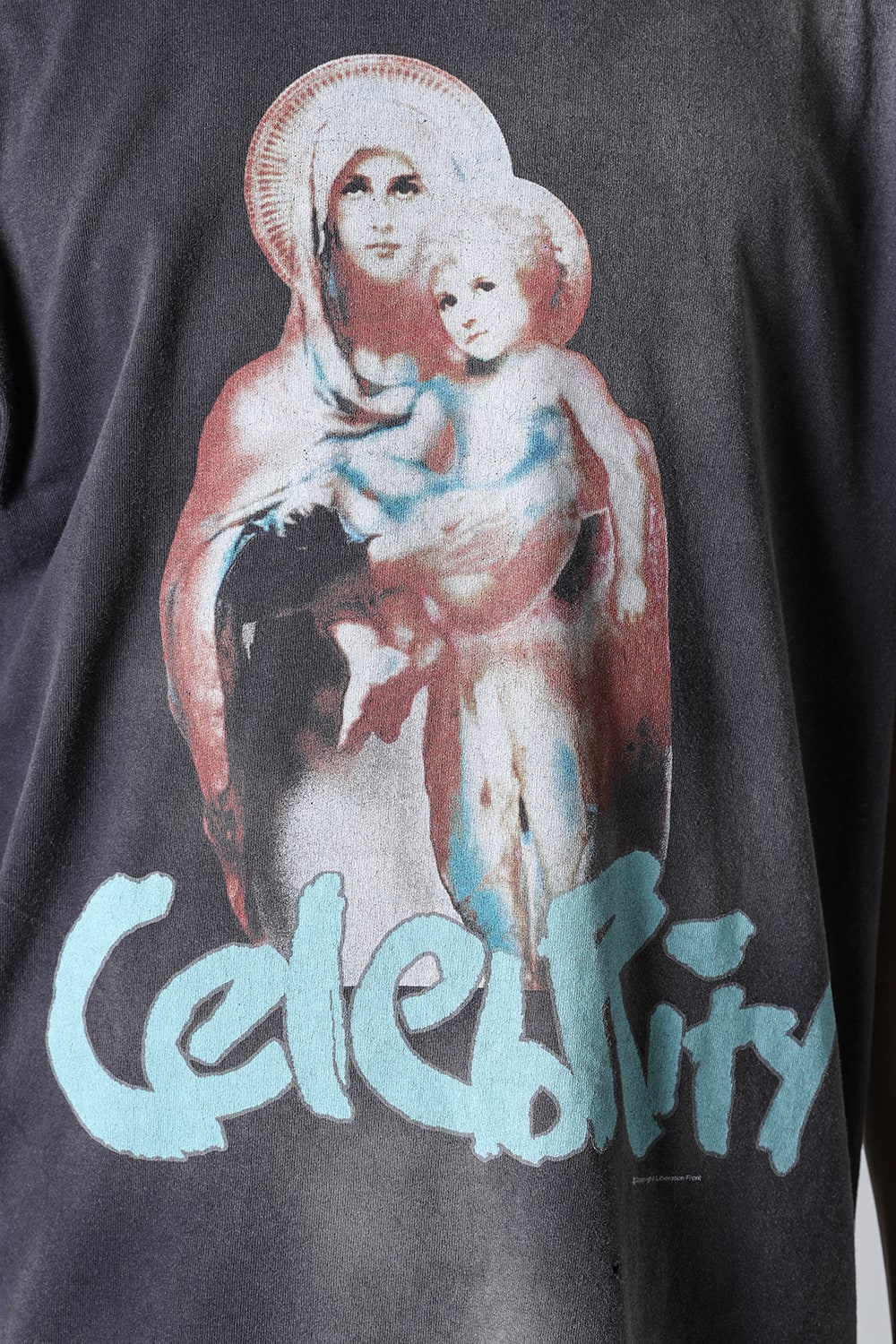 SHERMER ACADEMY × SAINT Mxxxxxx CELEBRITY Short sleeve T-shirt