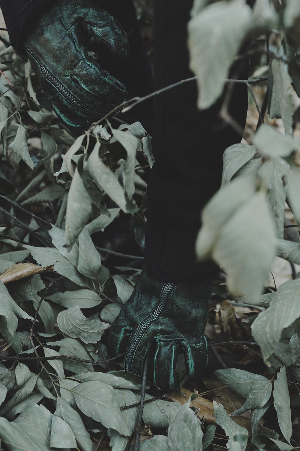 Dusty leaf Horse Leather Zip Gloves Green