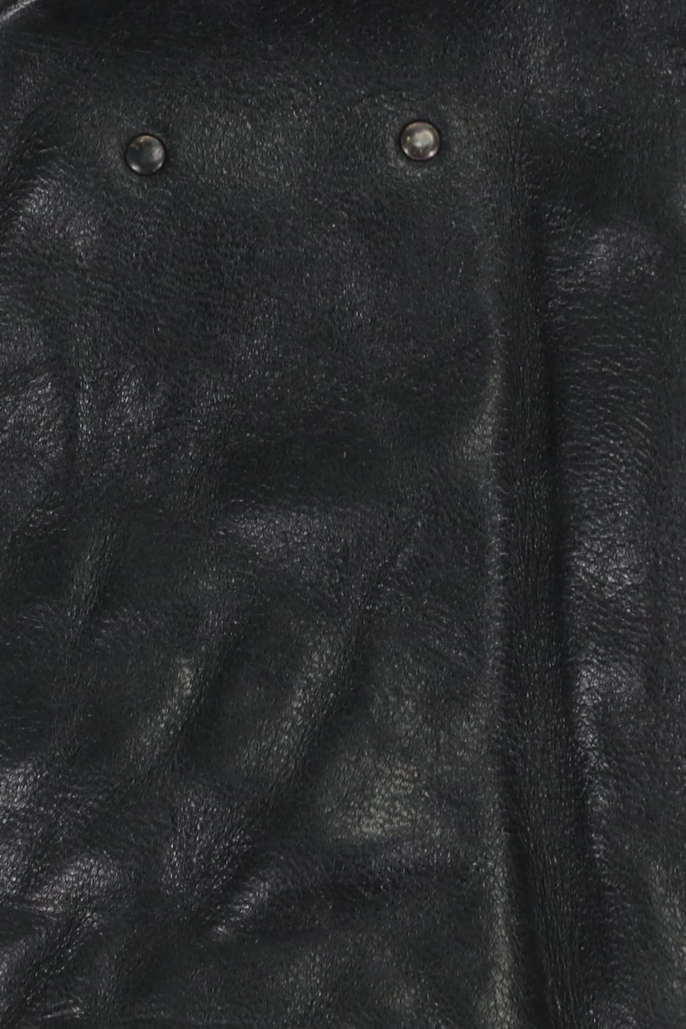 Horse Leather Nail ZIP Gloves Black