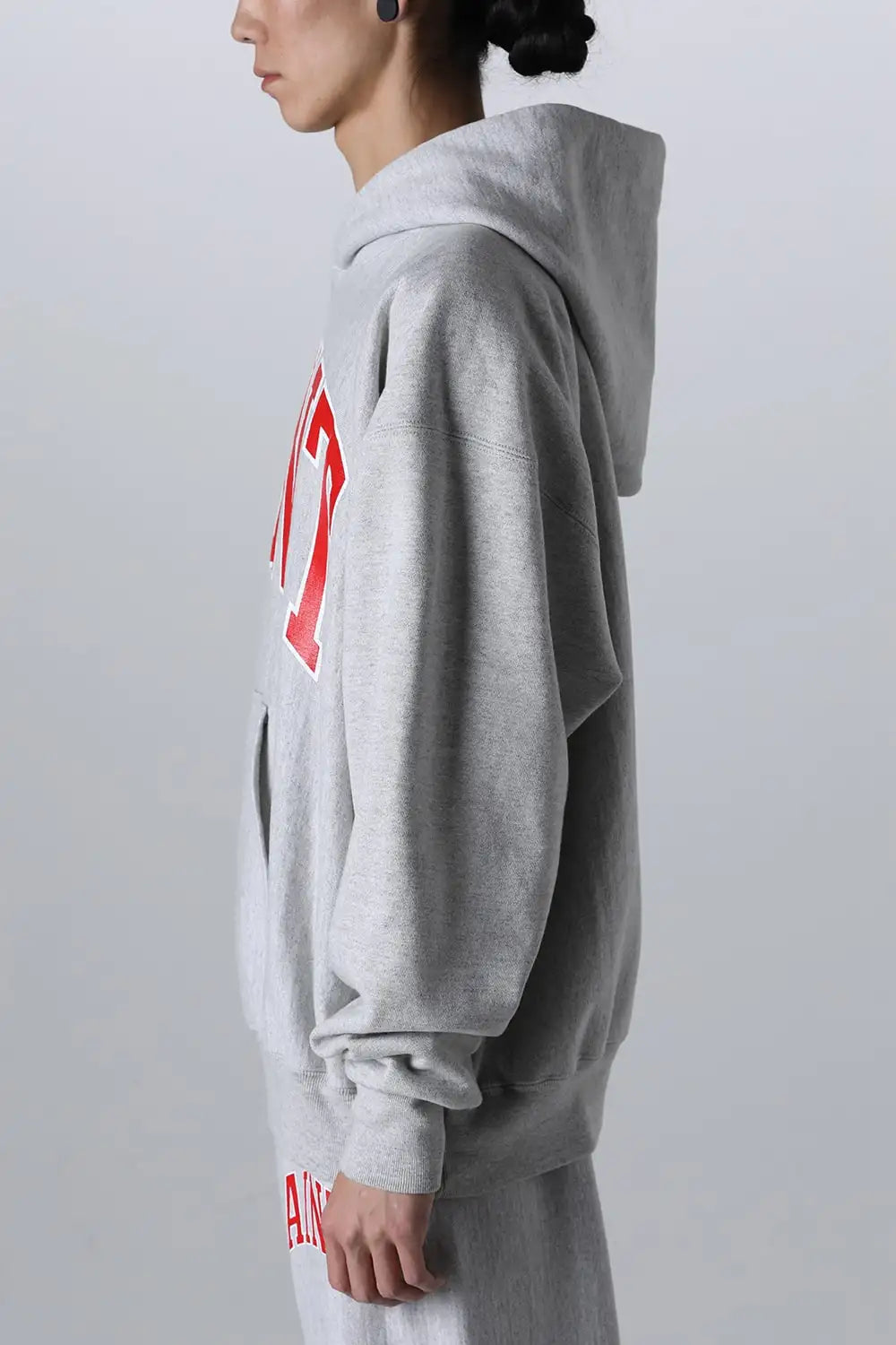 ARCH SAINT Hoodie Gray