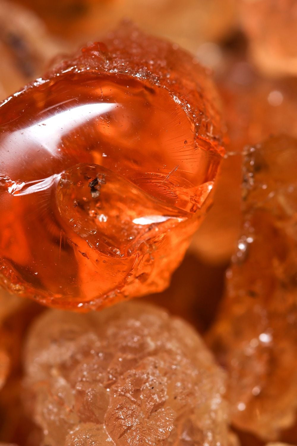 Humus - Petit size Pot Pourri Amber