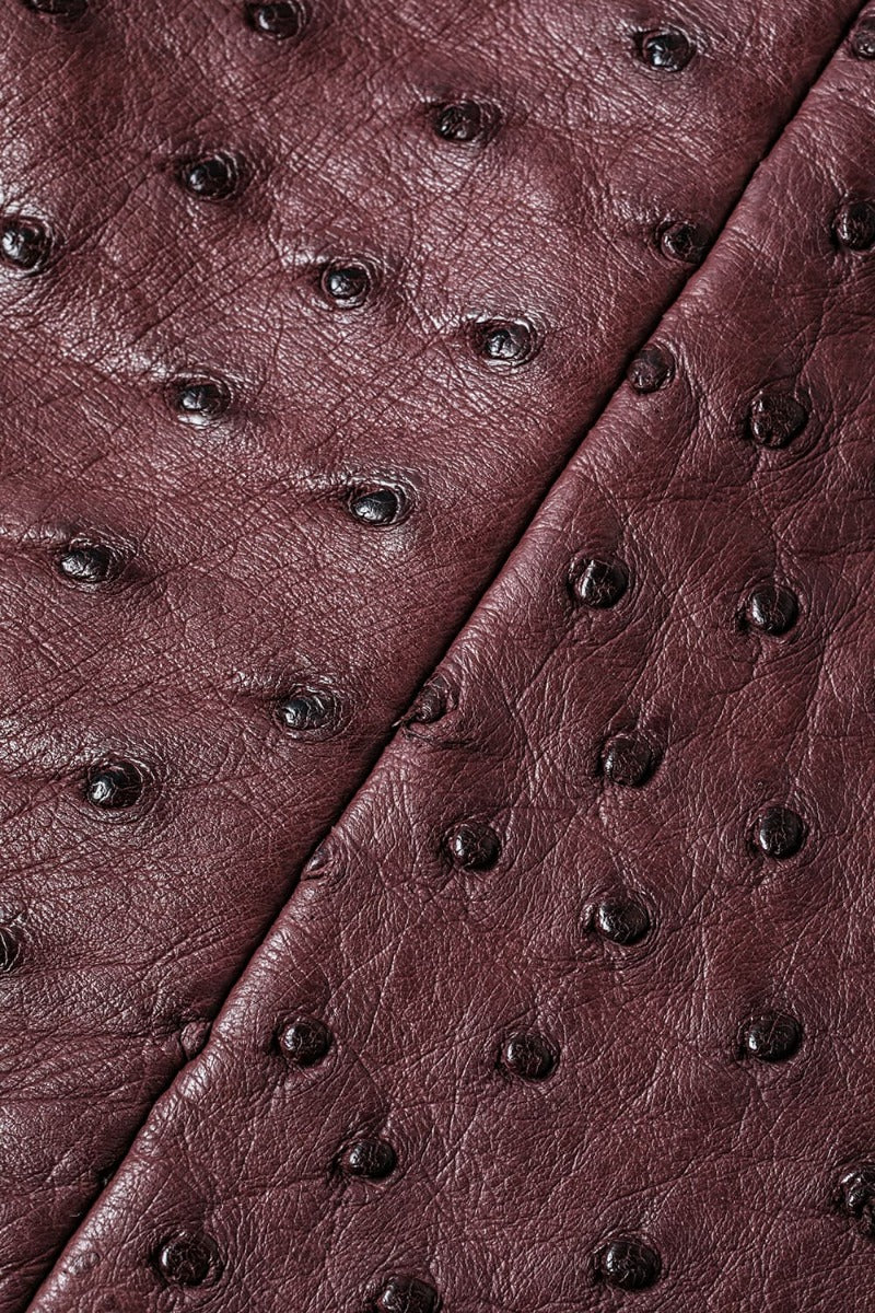 CWS de Former Bag ostrich  Burgundy