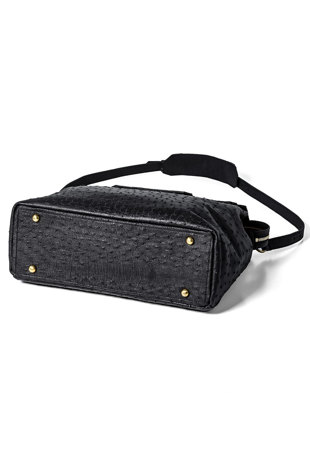 key hole BOSTON Ostrch