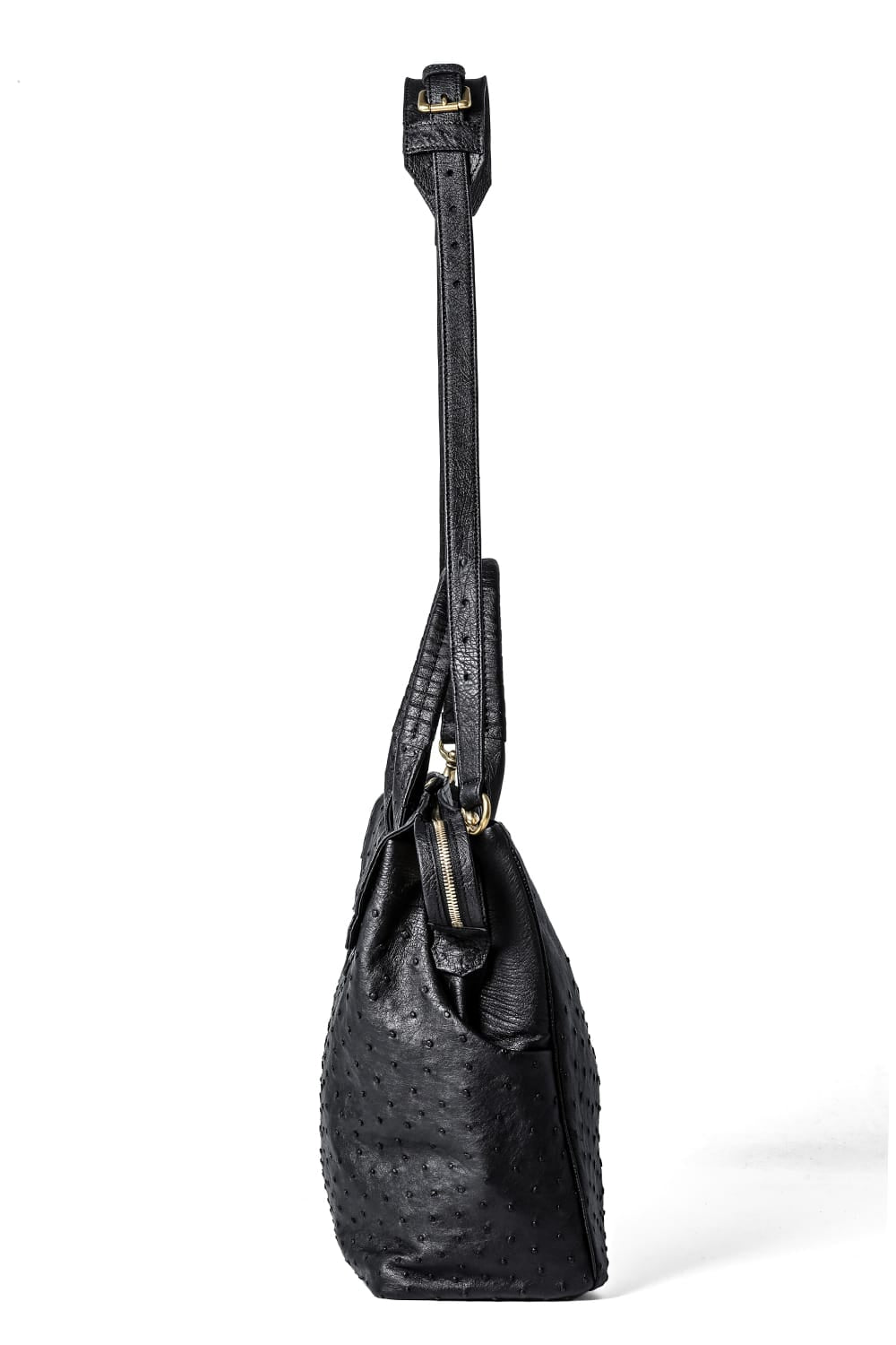 key hole BOSTON Ostrch