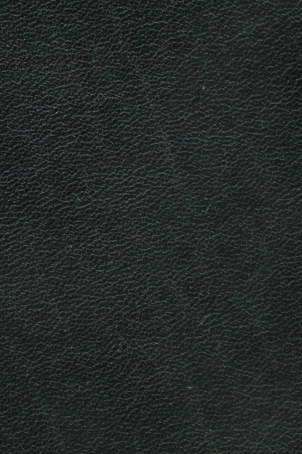 Hone Coin Case Oil Shrink