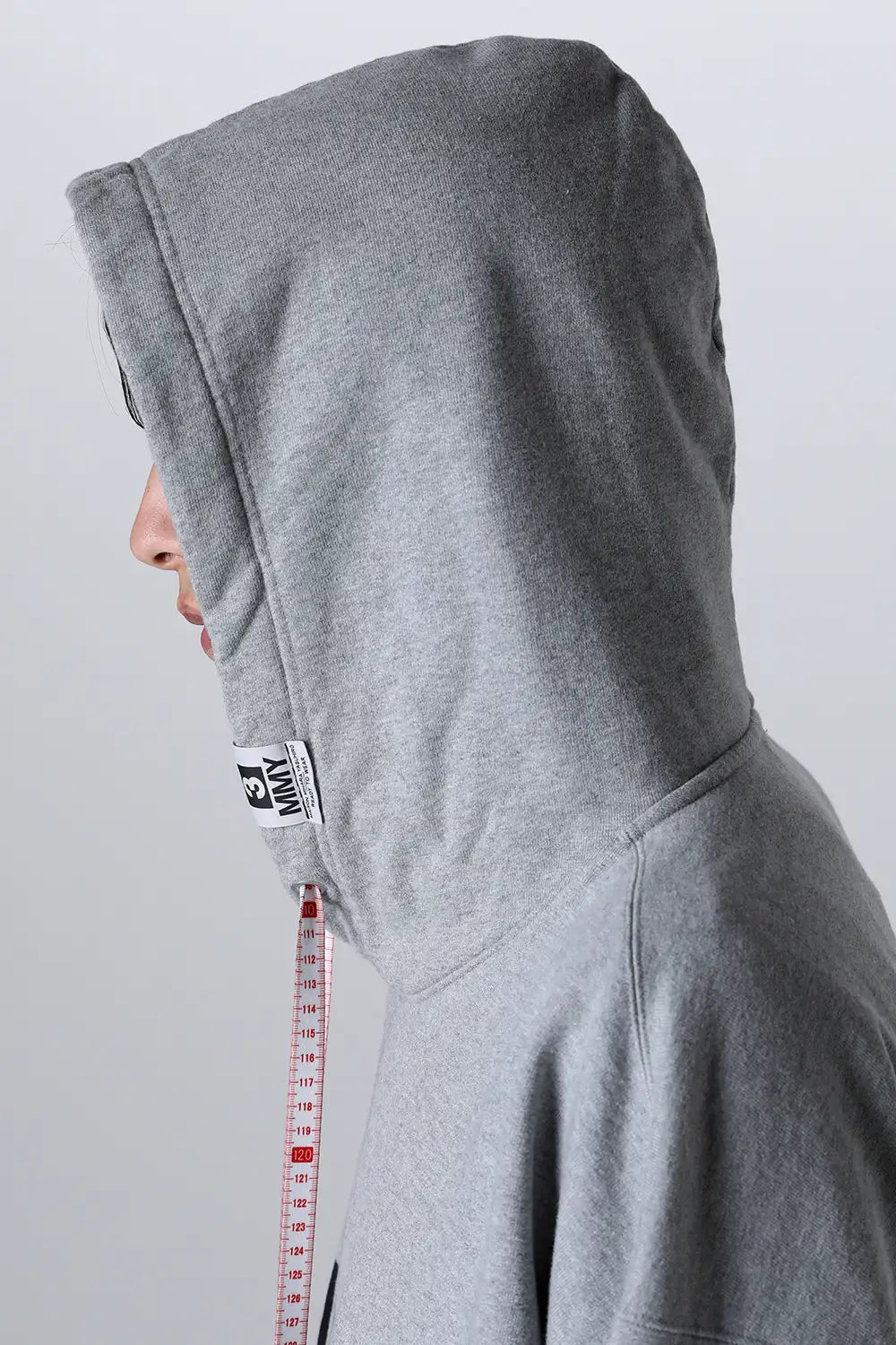 NASA Printed Hoodie Gray