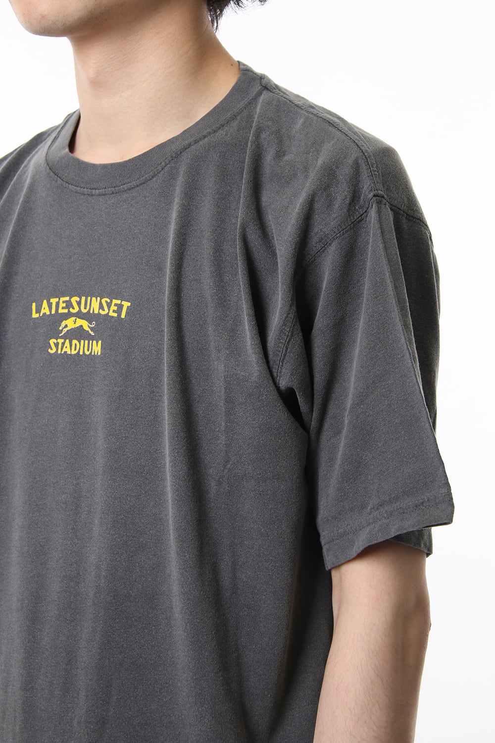 Late Sunset Stadium T-Shirt