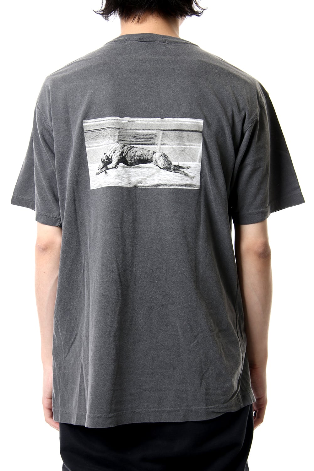 Late Sunset Stadium T-Shirt