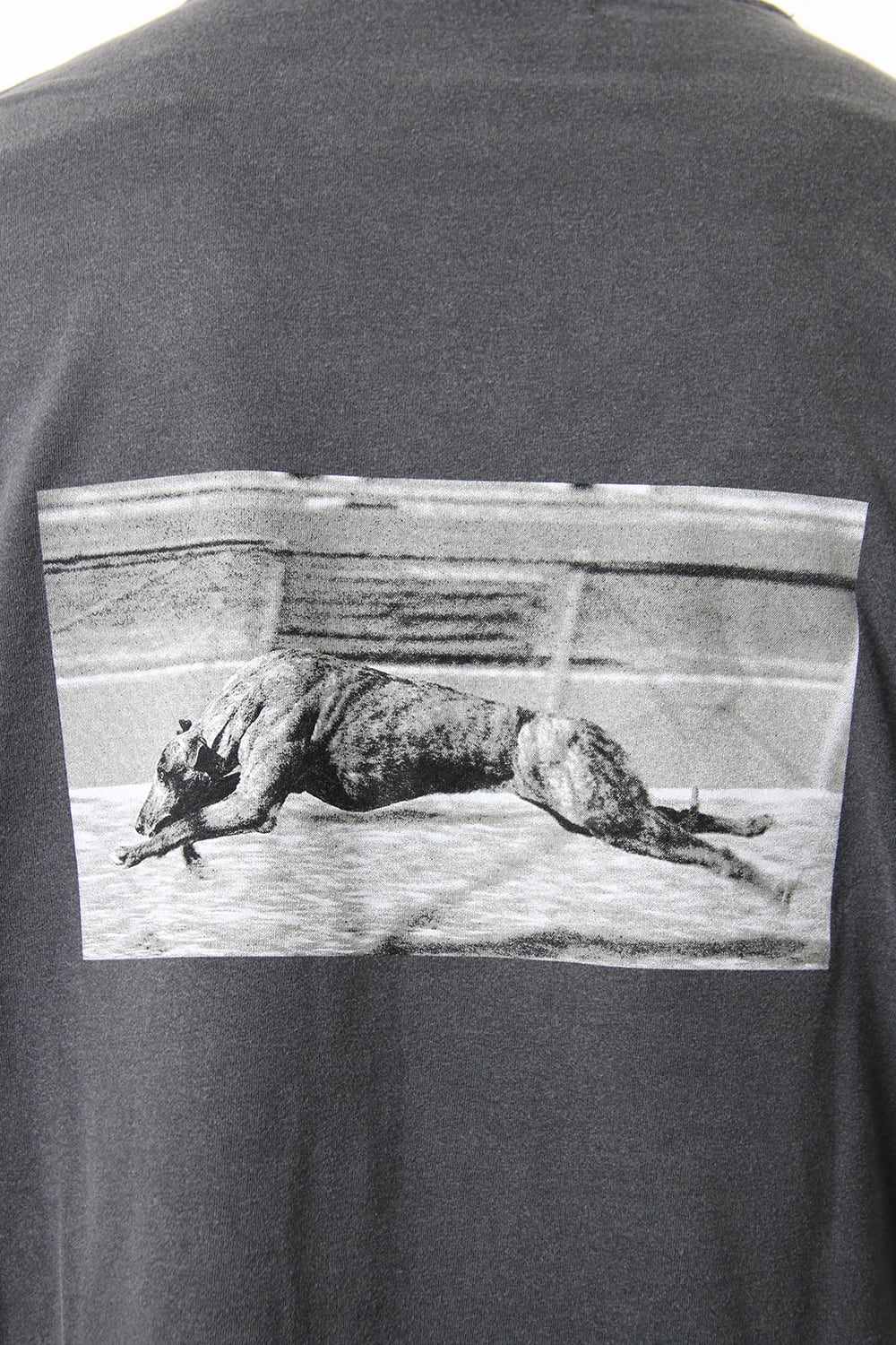 Late Sunset Stadium T-Shirt