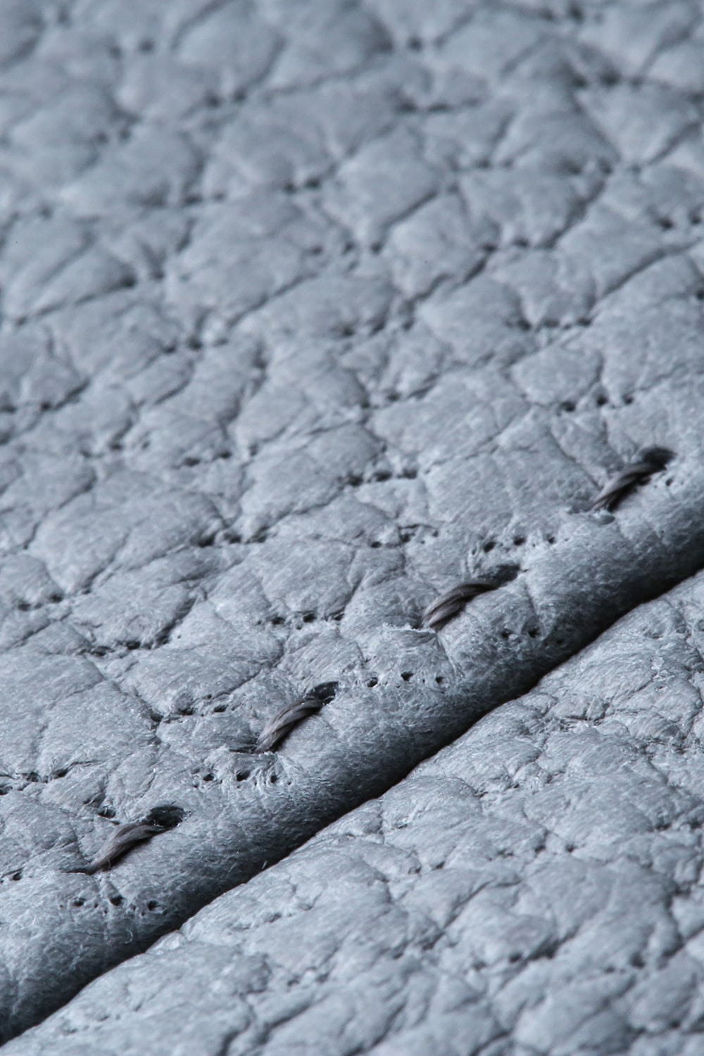 FASCNATE Limited Glove peccary leather