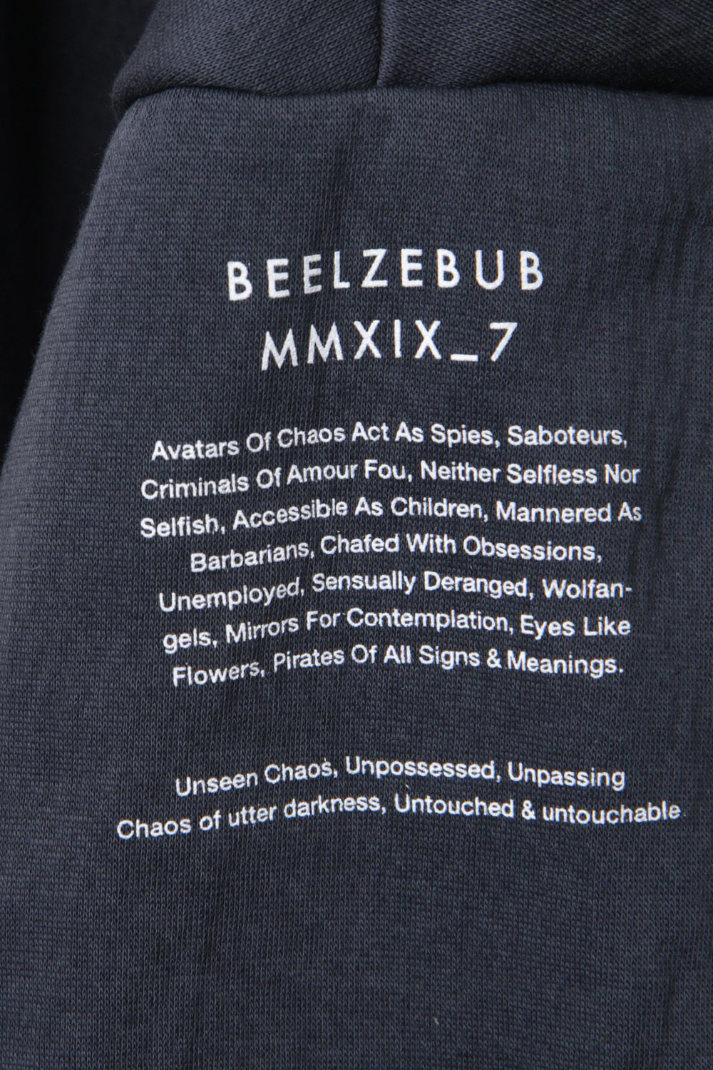 SEAMED SLEEVE PRINT HOODIE  Blue Gray