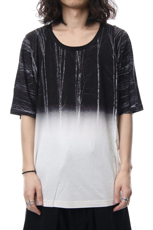 Hiroki Inoue BIG T (White birch)