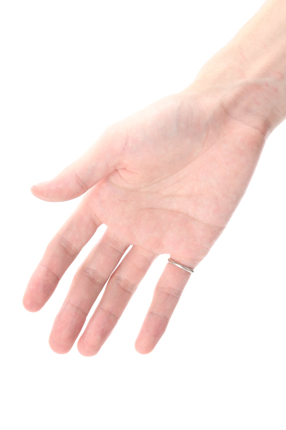 RING SYMBOL WINDROSE