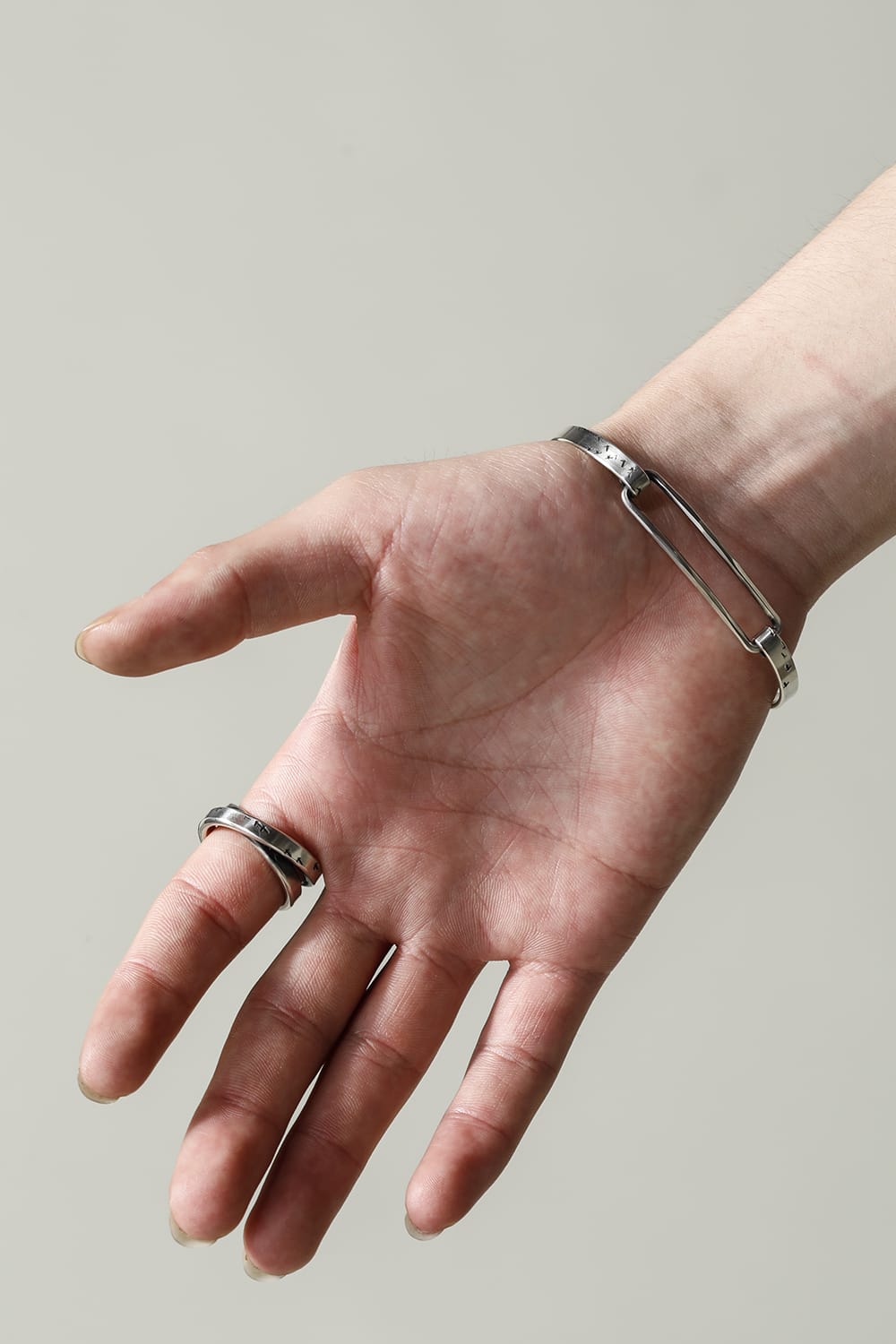 Cross Ring Bird Flight