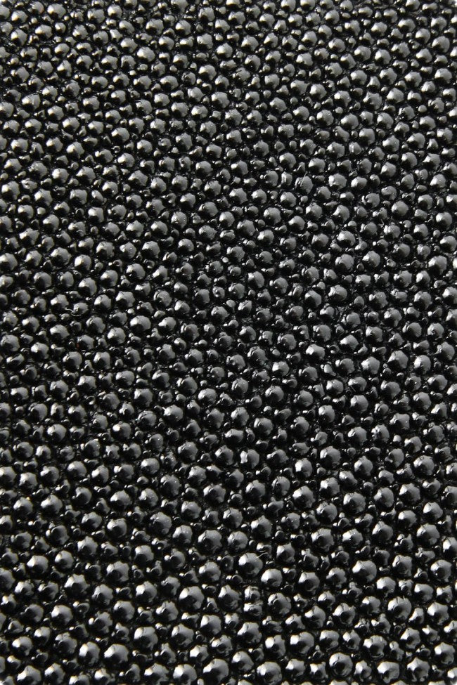 No,No,Yes!  -shosa- LIMITED Card Case (Stingray) B type