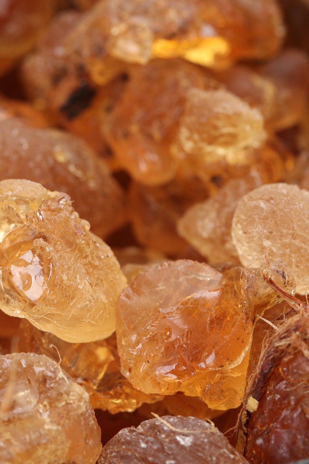 Sang Bleu - Petit size Pot Pourri Amber