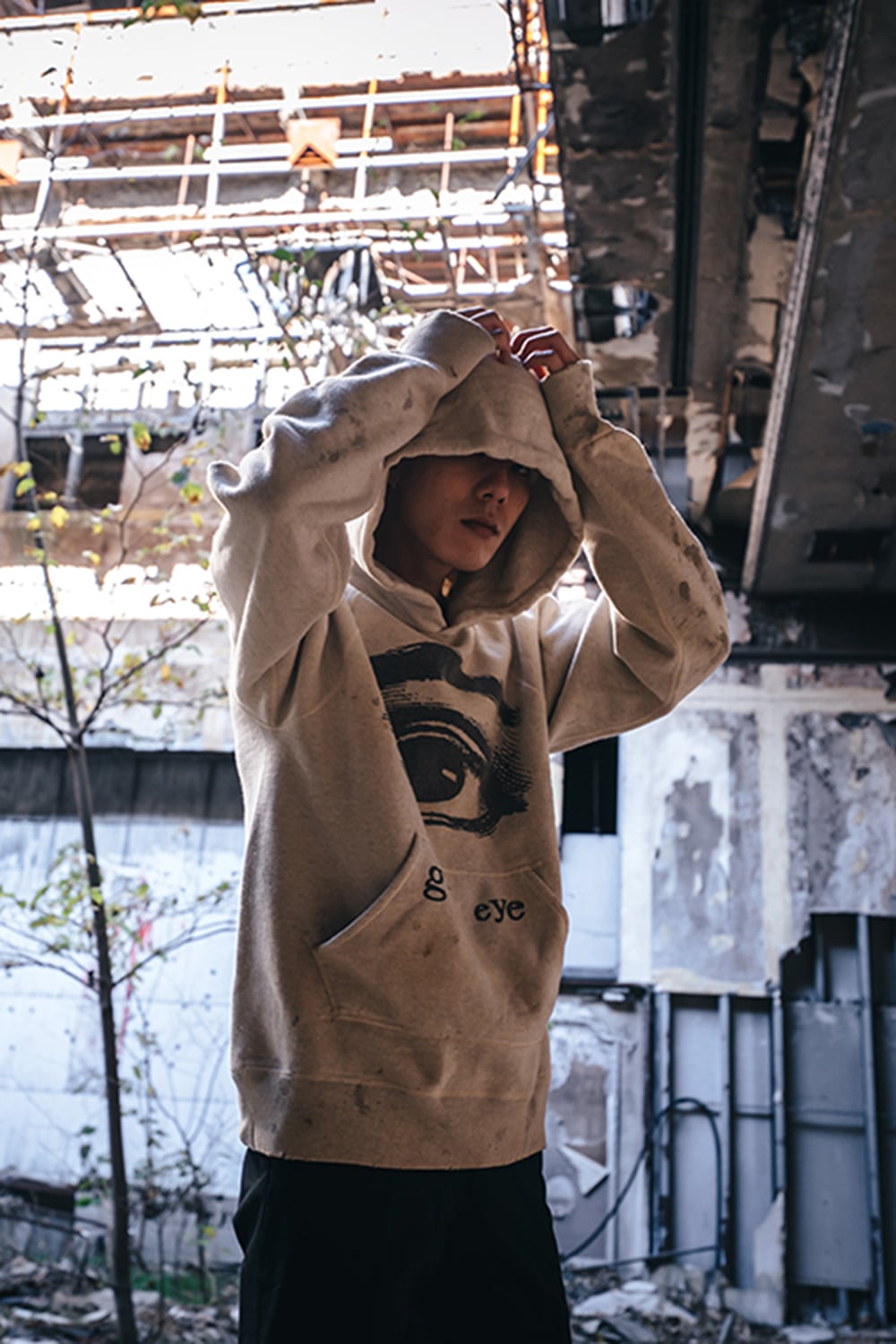 Eye Raglan hoodie