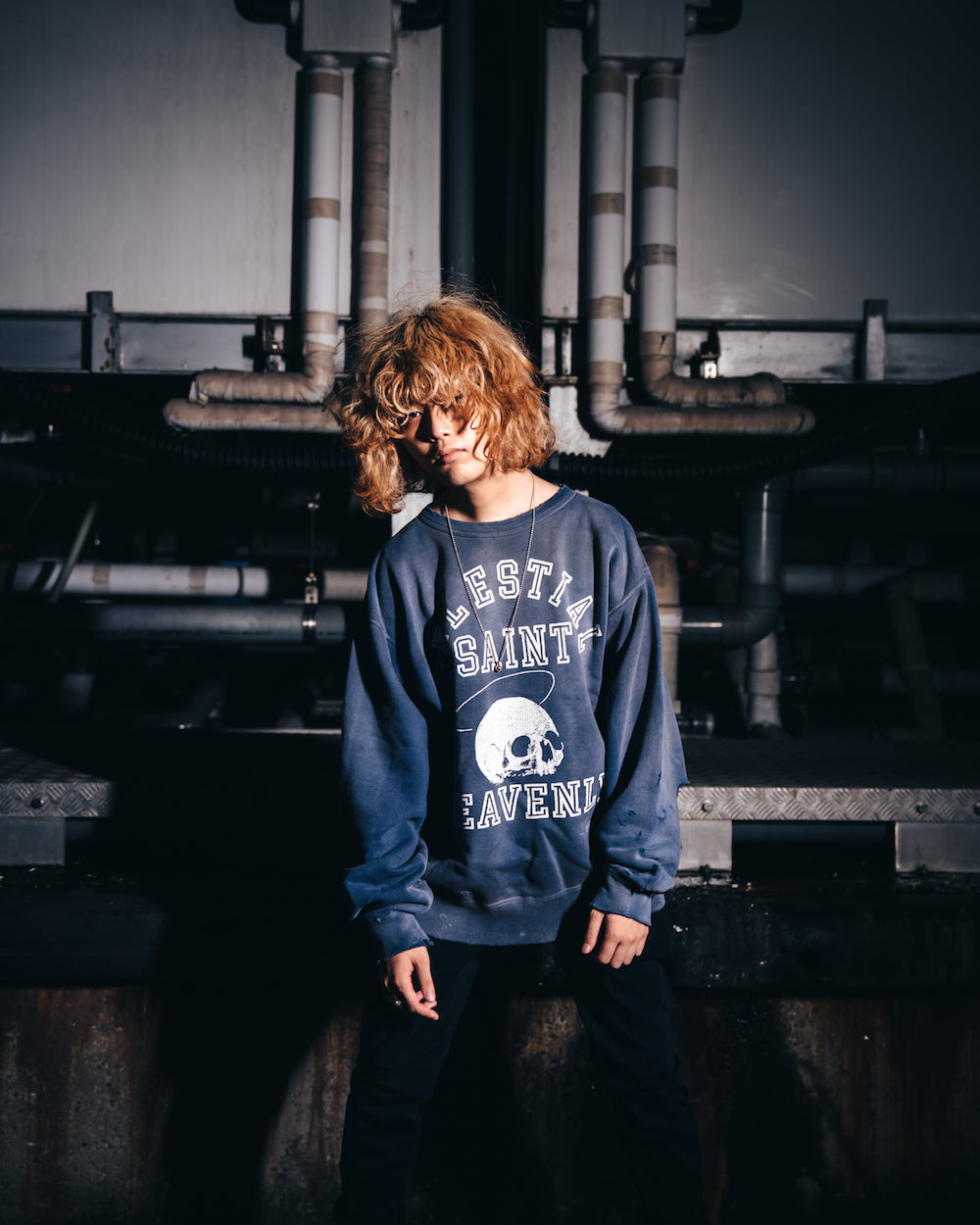 Skull Sweat shirt Navy