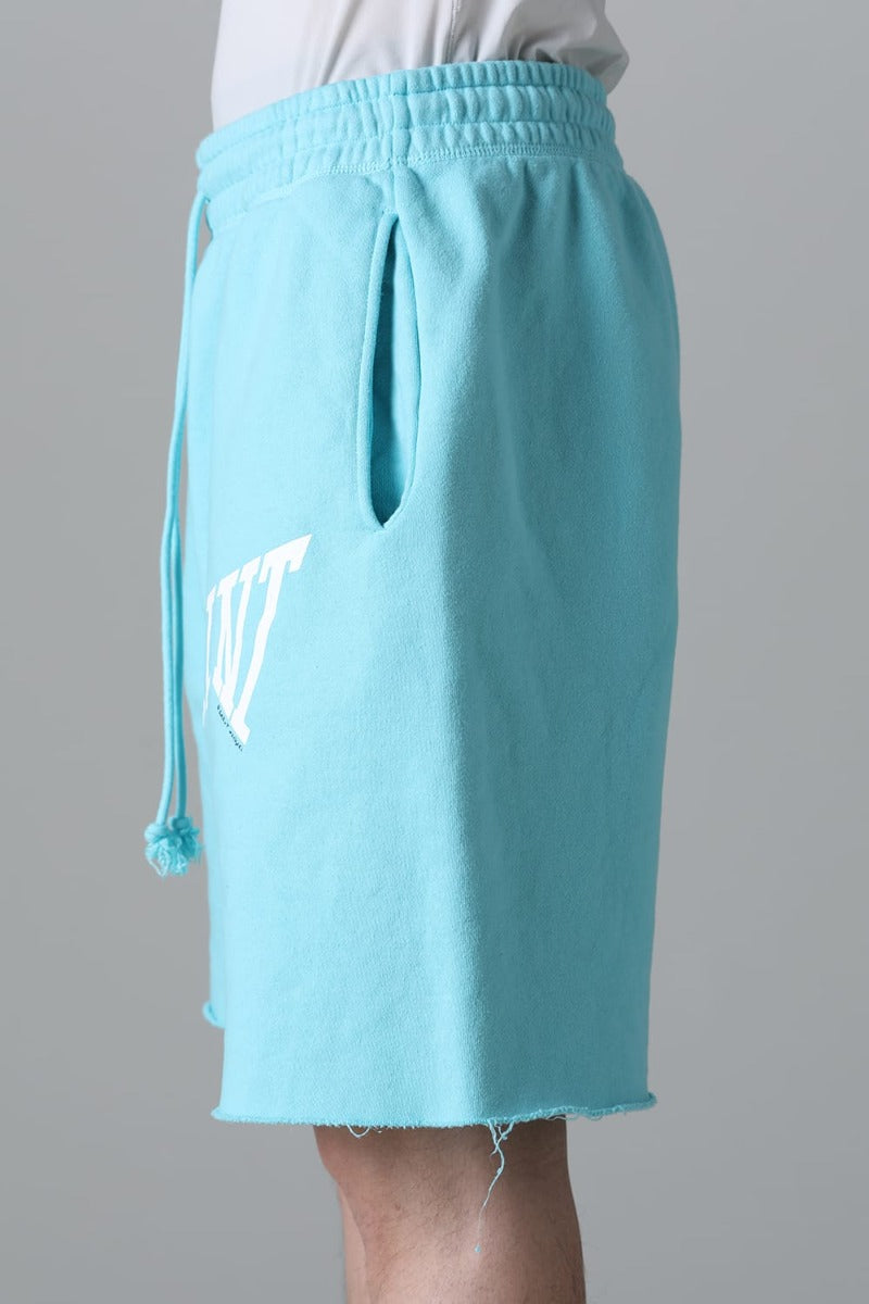 SAINT Sweat shorts  Blue