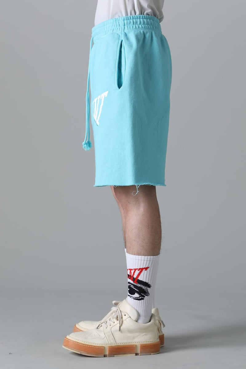 SAINT Sweat shorts  Blue