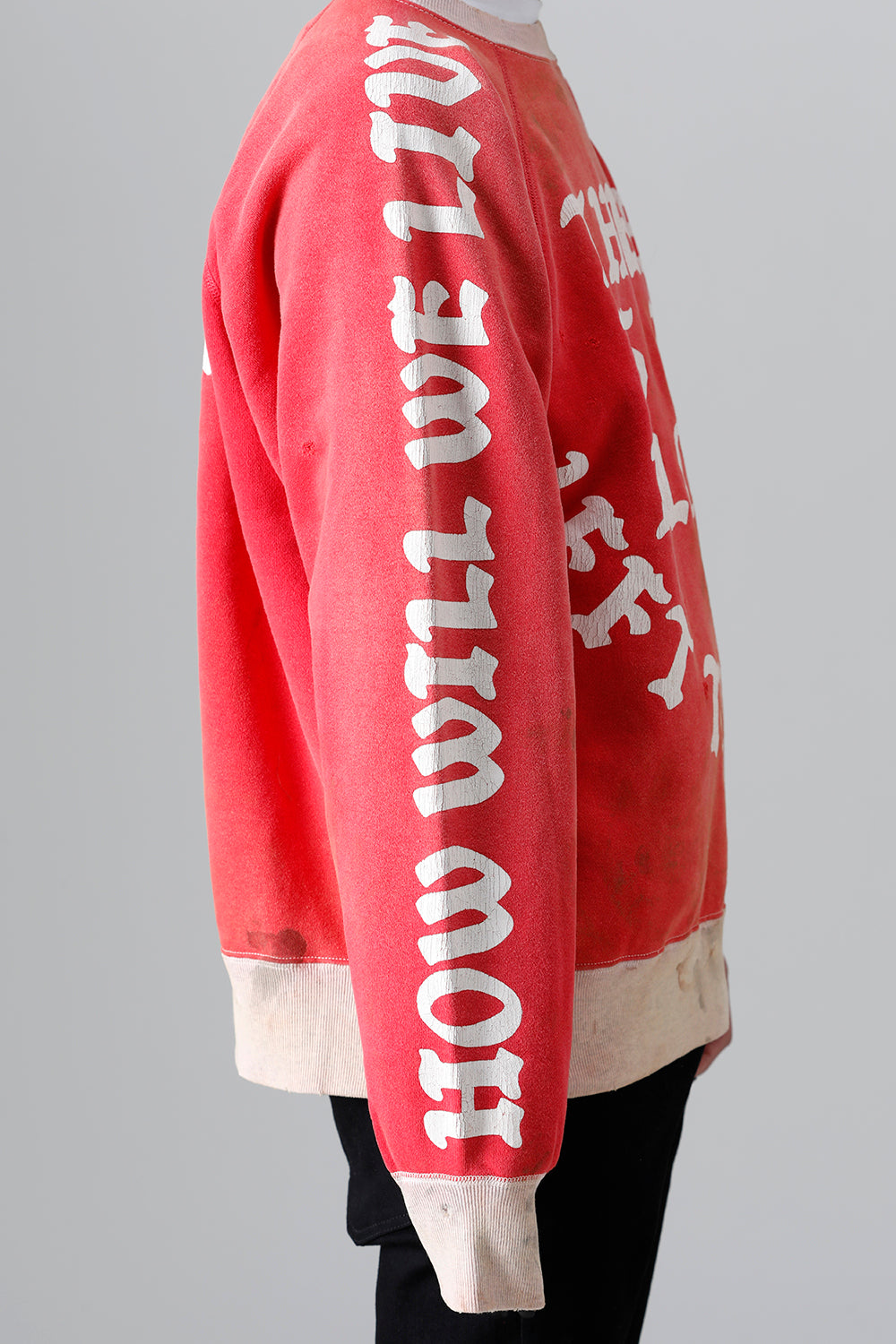 Felt Raglan sleeve Sweat shirt