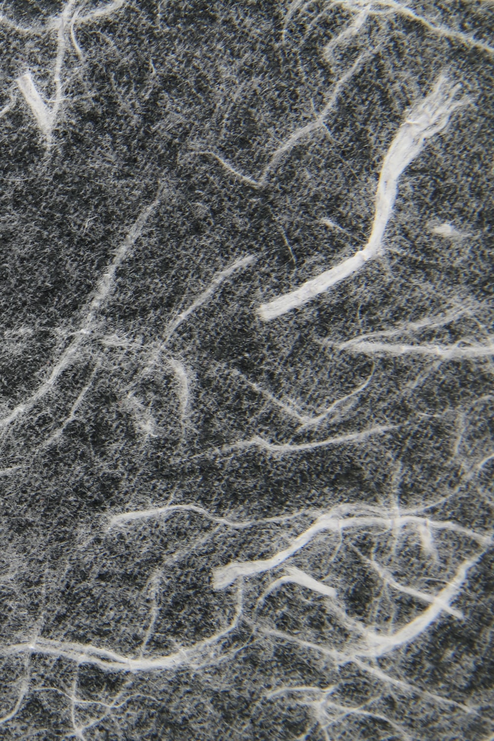 No,No,Yes!  -shosa- LIMITED Short Wallet 1.0 (WASHI)