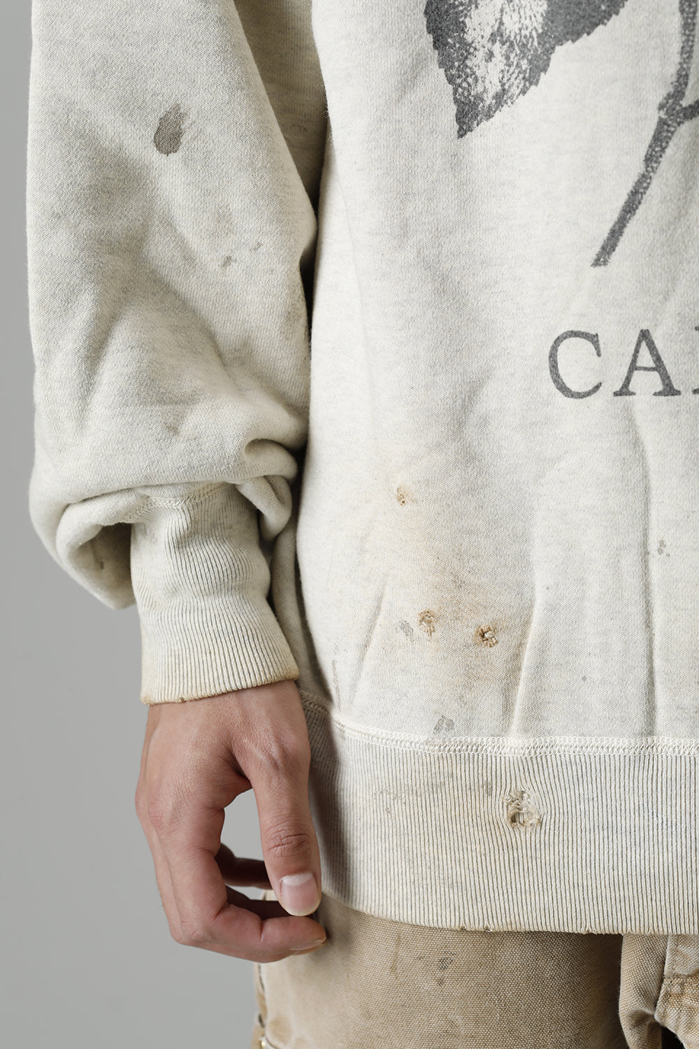 Camellia Raglan sleeve Sweat shirt