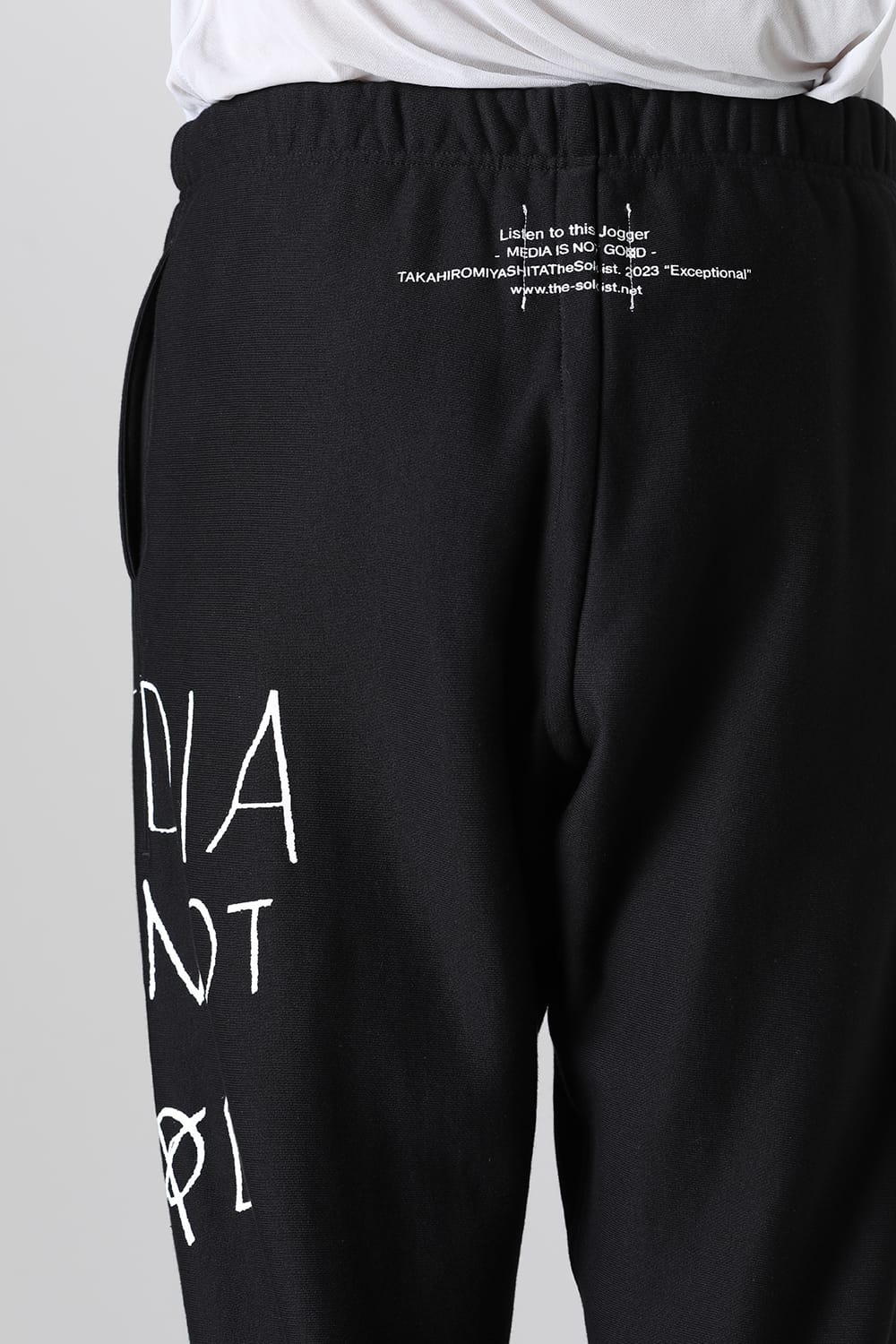 Jogger pants (media is not go⨂d. type 2)
