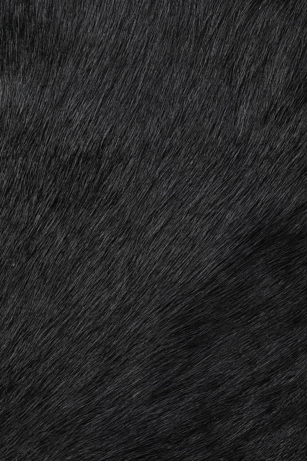 Hair Pony Leather High-Neck Jacket