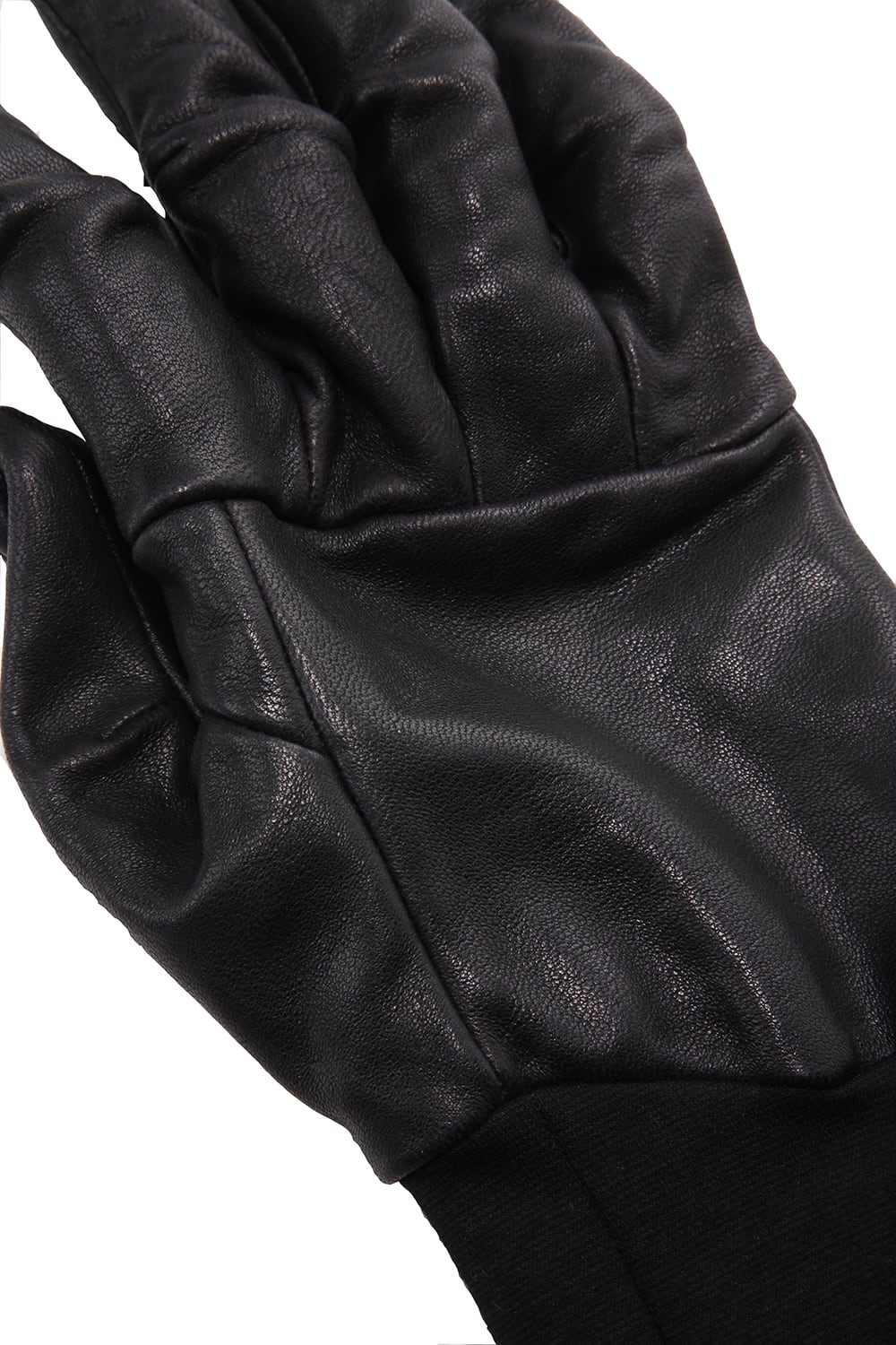 Glove