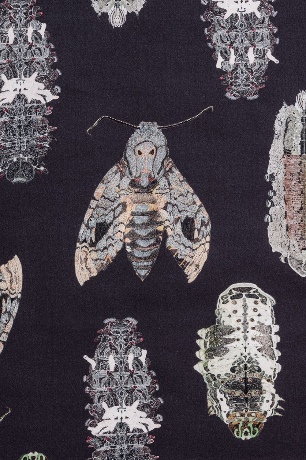 SUZUKO MOMOYAMA 'INSECTS' Print Jacket